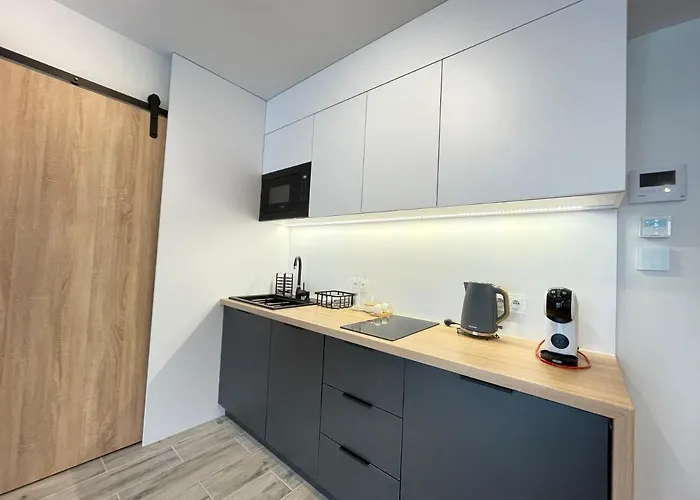 Apartmán Superior Laguna Beskidow Green! Sauna & Gym! Air Condition! *